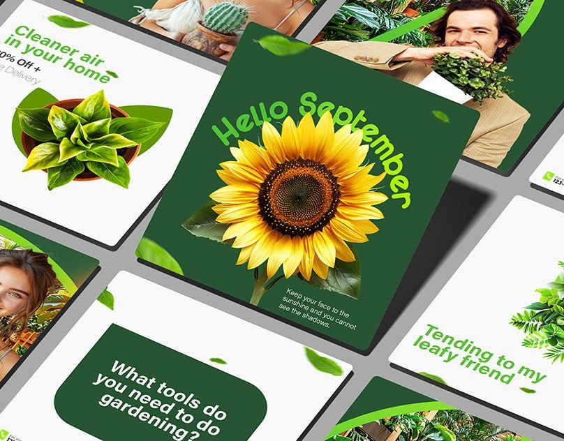 Green plant shop Instagram post layouts